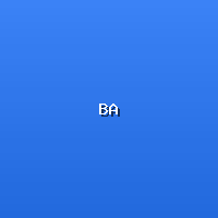 Bernice Akamine - Hawaiian Artist Profile